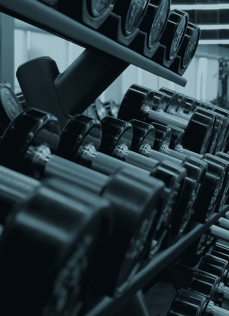 Rack of dumbbells arranged by weight